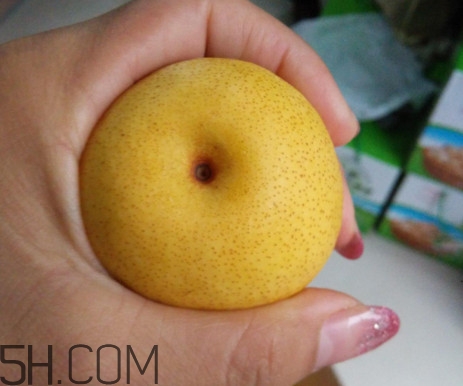 南果梨含酒精嗎？南果梨的功效與作用