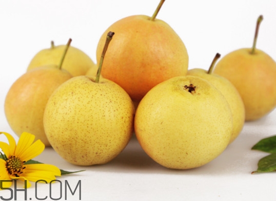 香水梨和南國(guó)梨有什么區(qū)別？南果梨怎么保存