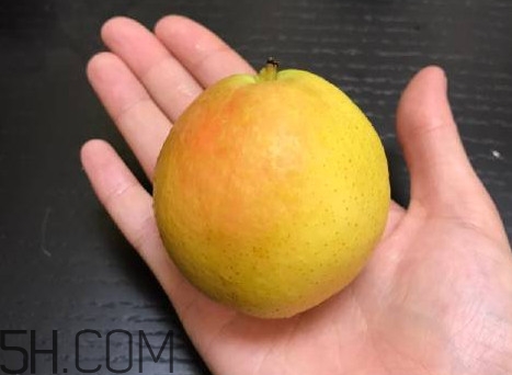 南果梨是發(fā)物嗎？南果梨是酸性還是堿性