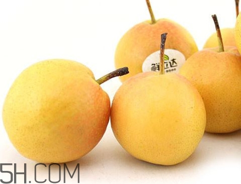 南果梨可以放冰箱嗎？南果梨什么時候成熟