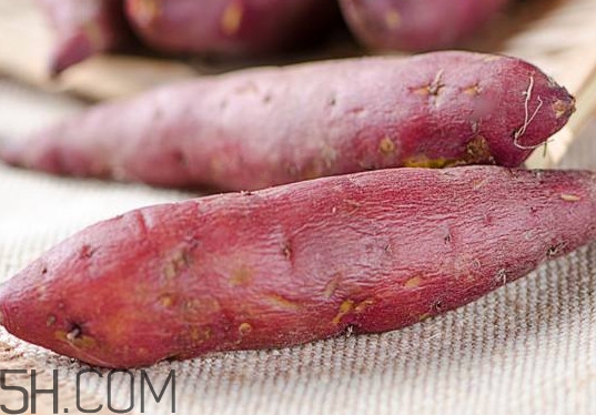 板栗紅薯是轉(zhuǎn)基因食品嗎？板栗紅薯的功效與作用