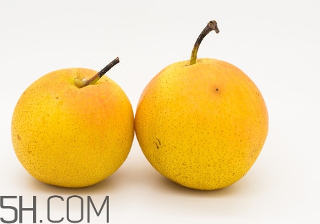 沒有熟透的南果梨能吃嗎？南果梨怎么做酒