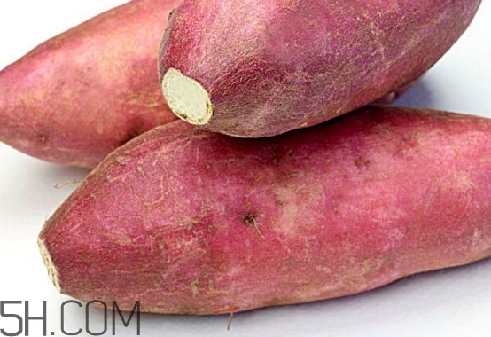 板栗薯是紅薯嗎？板栗薯和紅薯的區(qū)別