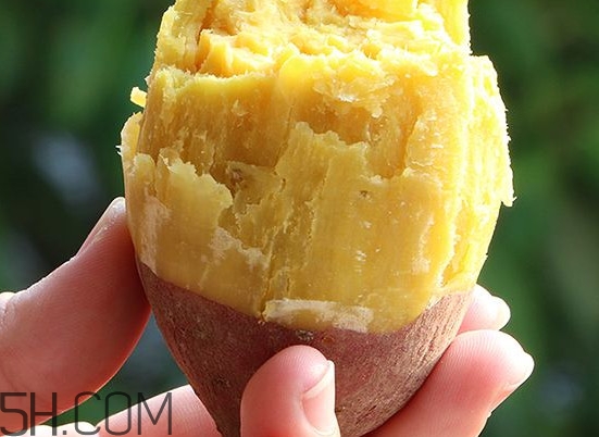 板栗紅薯能一起吃嗎？板栗紅薯哪里產(chǎn)的好吃