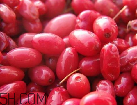 山茱萸可以吃嗎 山萸肉怎么吃 山茱萸可以吃嗎 山萸肉怎么吃