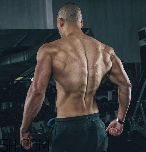 背闊肌怎么練厚？背闊肌怎么發(fā)力？