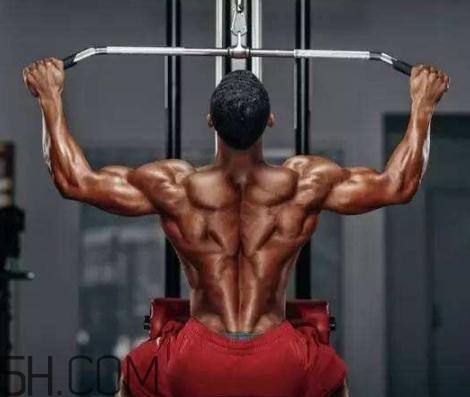 背闊肌怎么練厚？背闊肌怎么發(fā)力？