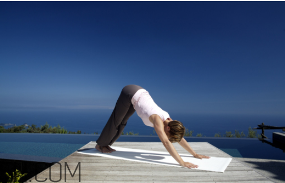 自學瑜伽從哪些體式入手？瑜伽能減肥嗎？