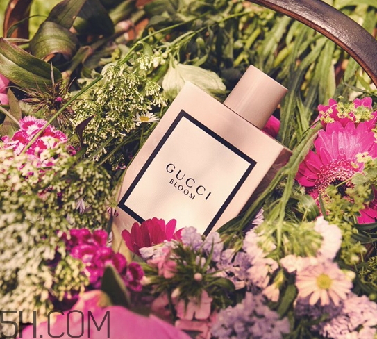 gucci bloom香水多少錢？gucci bloom香水專柜價格