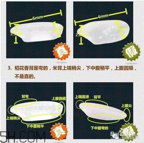 五常大米怎么辨別真假？五常大米和普通米的區(qū)別