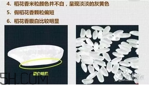 五常大米怎么辨別真假？五常大米和普通米的區(qū)別