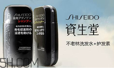 資生堂不老林洗發(fā)水好用嗎？資生堂不老林洗發(fā)水多少錢？