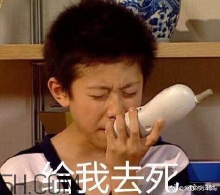 diediedie什么意思？diediedie表情包