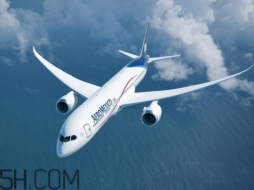 醬牛肉可以帶上飛機(jī)嗎？醬牛肉有點(diǎn)酸了怎么辦