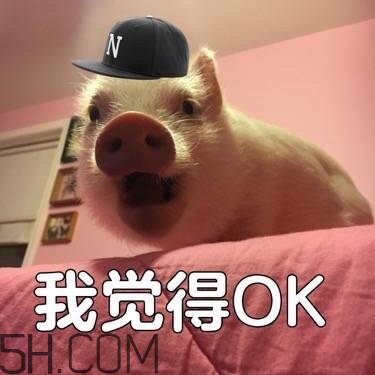 ojbk是什么意思？ojbk表情包