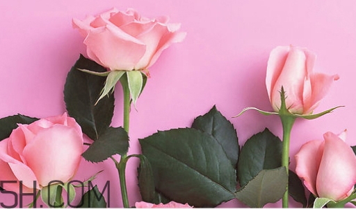 百雀羚唇彩怎么樣？百雀羚唇彩色號(hào)試色