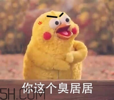 你個臭居居什么意思？你個臭居居表情包