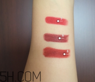 豬肝色口紅哪個牌子好？豬肝色口紅推薦