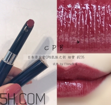 豬肝色口紅哪個牌子好？豬肝色口紅推薦