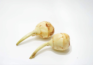 慈菇是發(fā)物嗎？慈菇是馬蹄嗎