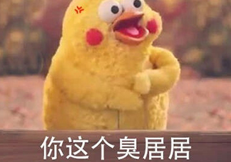 你個(gè)臭居居什么意思？你個(gè)臭居居表情包