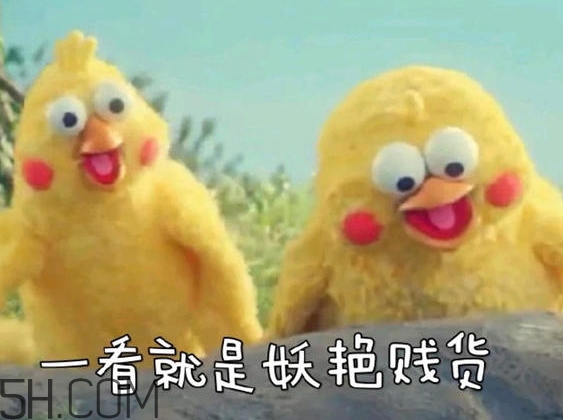 你們都是臭襪子什么意思？你們都是臭襪子表情包