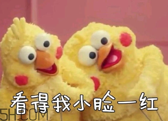 你們都是臭襪子什么意思？你們都是臭襪子表情包