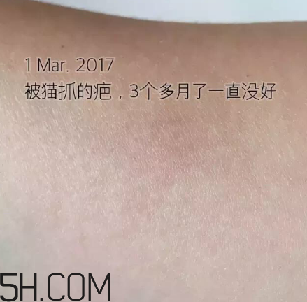 海藍之謎pk深海四十噚最全測評 面霜哪家好？