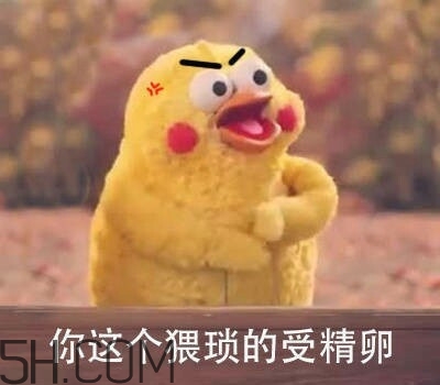 你這個(gè)猥瑣的受精卵是什么意思？你這個(gè)猥瑣的受精卵表情包