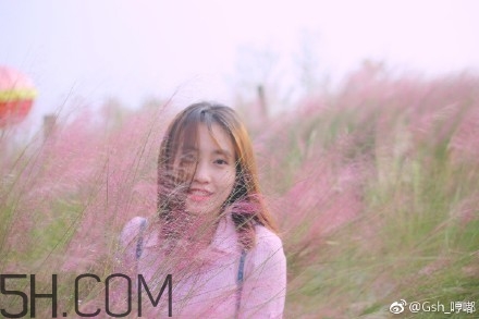 粉黛亂子是什么植物？粉黛亂子草花語