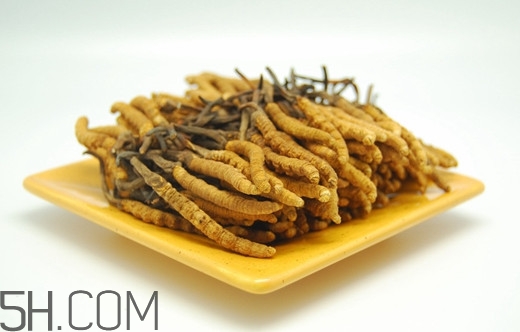 冬蟲(chóng)夏草可以人工種植嗎？冬蟲(chóng)夏草可不可以放在冰箱里