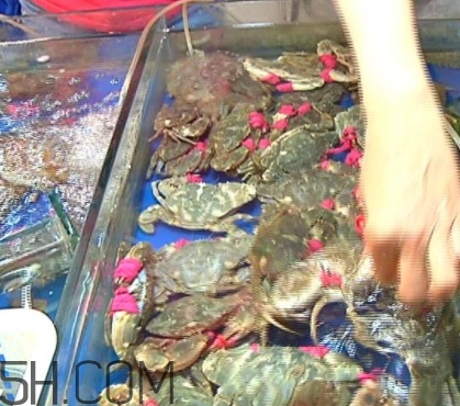 花蓋蟹和梭子蟹哪個好吃？花蓋蟹和梭子蟹區(qū)別