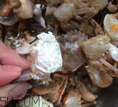 花蓋蟹和梭子蟹哪個好吃？花蓋蟹和梭子蟹區(qū)別