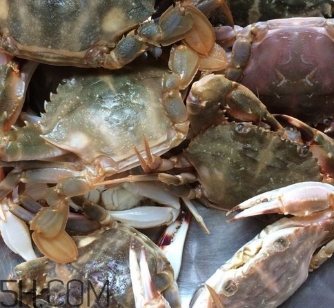 花蓋蟹和梭子蟹哪個好吃？花蓋蟹和梭子蟹區(qū)別