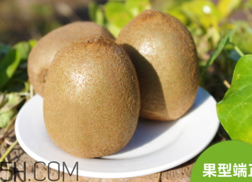 海沃德獼猴桃好吃嗎？海沃德獼猴桃酸嗎？