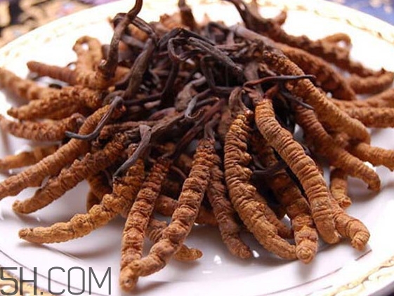 冬蟲(chóng)夏草可以人工種植嗎？冬蟲(chóng)夏草可不可以放在冰箱里