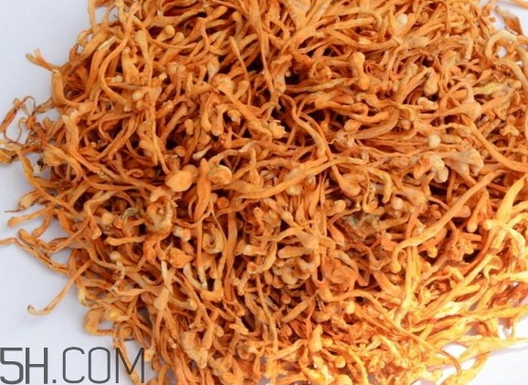 冬蟲夏草哪里的最好？冬蟲夏草和蟲草花的區(qū)別