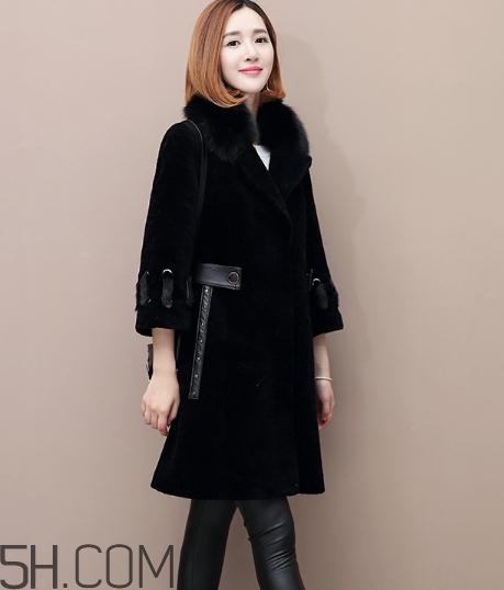 水貂和貂哪個好？貂皮和水貂有什么區(qū)別？