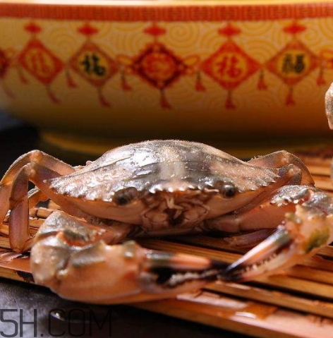 花蓋蟹怎么保存？花蓋蟹可以保存多久