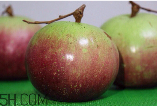 牛奶果是什么？牛奶果孕婦可以吃嗎？