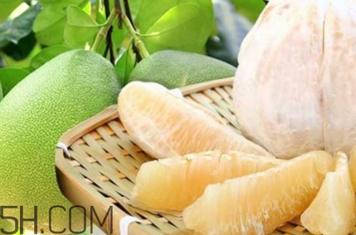 沙田柚是文旦嗎？文旦柚和沙田柚的區(qū)別