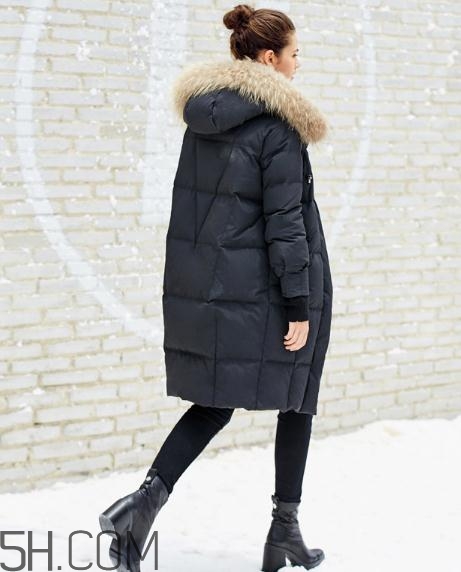 貉子毛和狐貍毛哪個(gè)好？貉子毛和狐貍毛的區(qū)別