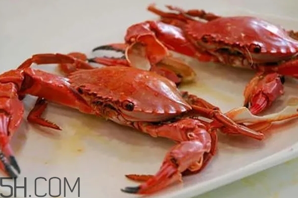 海虹蟹和梭子蟹哪個(gè)好？海虹蟹和梭子蟹的區(qū)別