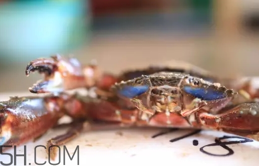 海虹蟹蒸多久才可以熟？海虹蟹蒸多長時間