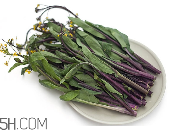 紅菜苔不能與什么菜一起吃？紅菜苔與白菜苔之間的差別