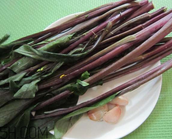 紅菜苔為什么炒出來的汁是藍色的？紅菜苔是什么菜