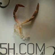 海虹蟹怎么做好吃？海紅蟹的做法