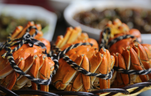 陽(yáng)澄湖大閘蟹幾月份上市？陽(yáng)澄湖大閘蟹哪家正宗