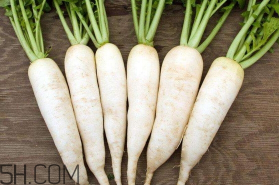 白蘿卜吃多了會怎樣_白蘿卜吃多了有什么危害 白蘿卜吃多了會怎樣_白蘿卜吃多了有什么危害