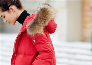 貉子毛和狐貍毛哪個好？貉子毛和狐貍毛的區(qū)別